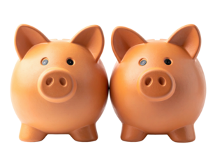 Two terracotta piggy banks facing forward