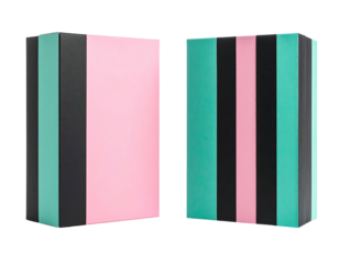 Two identical 3D rendered gift boxes with stripes