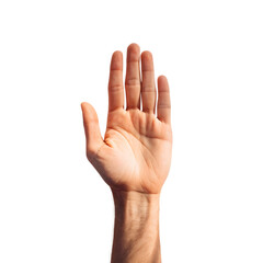 Raised Human Hand Palm Up Stop Gesture PNG Isolated on Transparent Background 