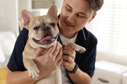 Man with his cute French bulldog at home