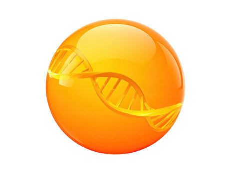 Orange sphere with DNA helix