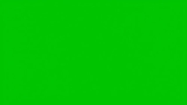 Emerald Canvas: An expanse of vivid, brilliant emerald green fills the frame, a solid color evoking a sense of purity and a vibrant, fresh atmosphere.