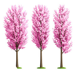 Obraz premium Three trees blossoming with vibrant pink flowers, brown trunks, and green grass at their base