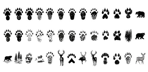 Series of black and white animal tracks and silhouettes arranged on a white background