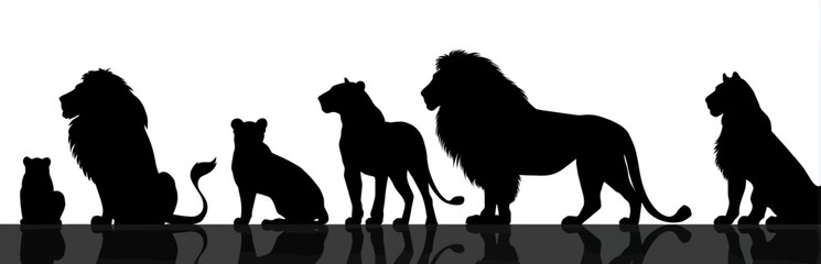 Silhouettes of various felines, arranged in a row, on a reflective surface, with a white background