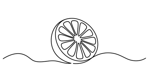 Artistic continuous one line drawing of a refreshing citrus fruit slice with flowing organic lines below vector