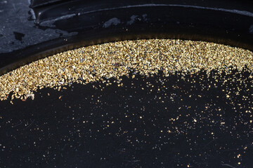 Closeup view of gold flakes collected in a black panning pan. Shiny metallic particles representing mining, prospecting, natural resources, and the search for wealth and treasure.