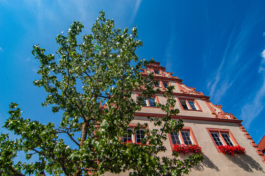 Amberbaum vor altem Geb&auml;ude