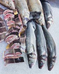 Fresh Arctic char fish, whole and pieces on ice at a supermarket in Riga, Latvia