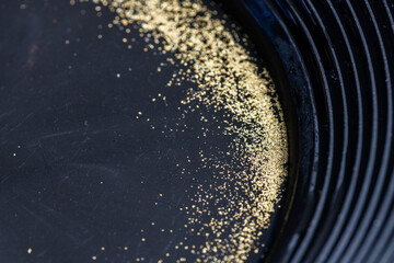 Closeup view of gold flakes collected in a black panning pan. Shiny metallic particles representing mining, prospecting, natural resources, and the search for wealth and treasure.