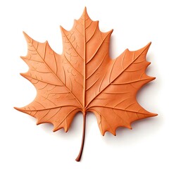 Obraz premium Detailed copper maple leaf isolated on white background