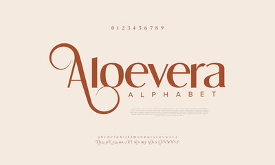 Elegant Font Uppercase Lowercase and Number. Classic Lettering Fashion Designs. Typography modern serif fonts regular decorative vintage concept. vector illustration

