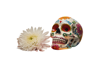 Colorful decorated skull and white flower isolated on transparent background