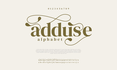Elegant Font Uppercase Lowercase And Number. Classic Lettering Minimal Fashion Designs. Typography modern serif fonts regular decorative vintage concept. vector illustration

