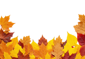 Fall yellow leaf border design, seasonal foliage frame on transparent background