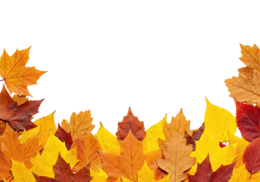 Fall yellow leaf border design, seasonal foliage frame on transparent background