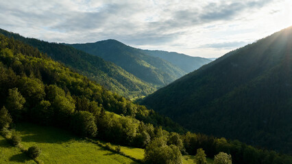 Mountain valley with green forests