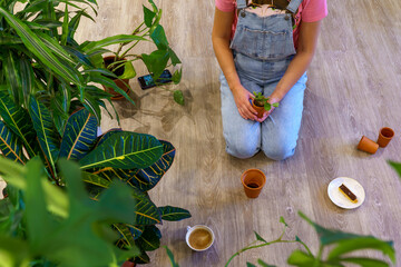 A woman surrounded by several houseplants. 