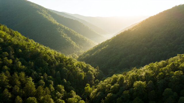Mountain forest sunrise - Powered by Adobe
