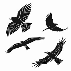 Four black silhouette vector designs of flying birds 2