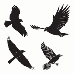 Four black silhouette vector designs of flying birds 3