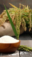 White rice in a wooden bowl, surrounded by rice stalks