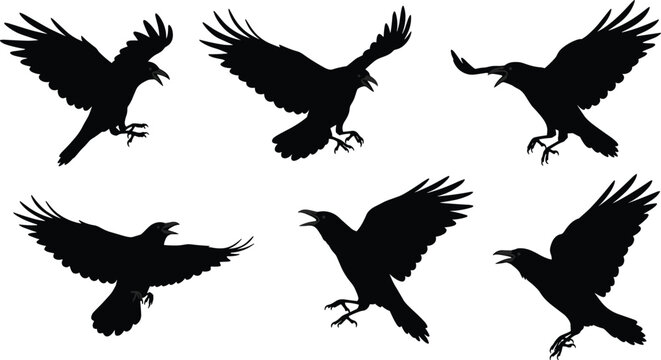 Fototapeta Black crow and raven silhouettes flying landing perched on branches vector illustration set wildlife bird design spooky nature artwork elements
