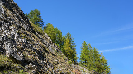 Rocky hillside with lush green trees under a clear blue sky, showcasing the beauty of nature and the vibrant colors of the landscape in a serene environment