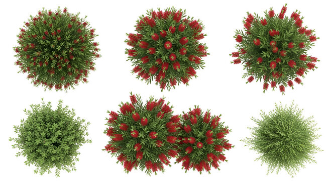 Top View Collection of Green Bushes with Red Flowers