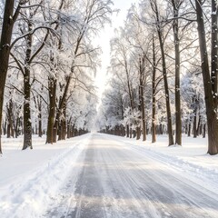 Obraz premium Snowy winter road through a tree-lined avenue