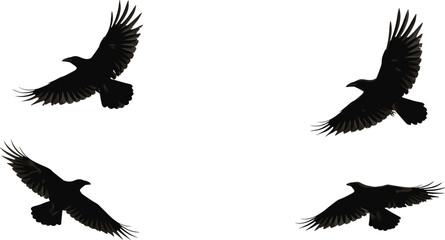 Flying bird silhouette vector illustration with detailed wings, black crow or raven in motion, minimal design, nature wildlife art concept