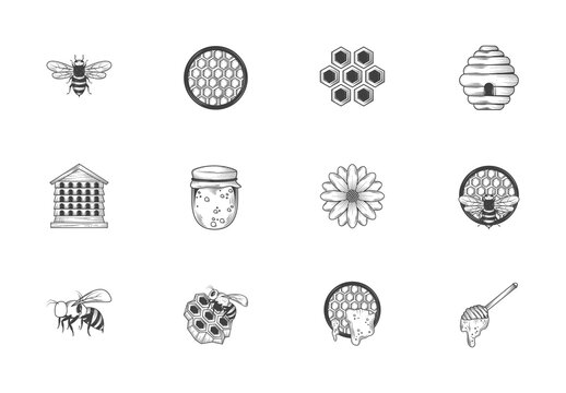 Black And White Bee Honey Line Illustrations Set