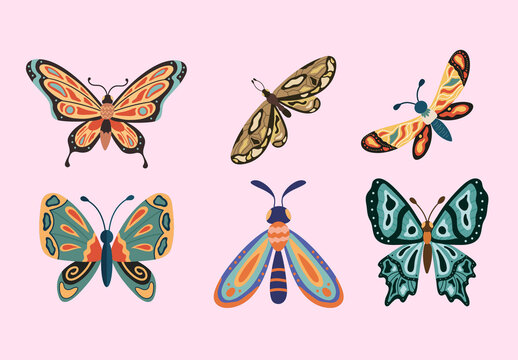 Colorful Butterfly Insect Illustrations Set