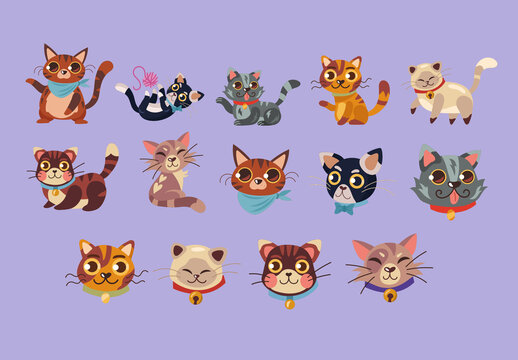 Colorful Cats Pets Animals Illustrations Set
