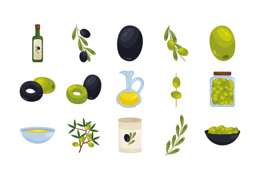 Colorful Olive Branch Jar Oil Illustrations Set