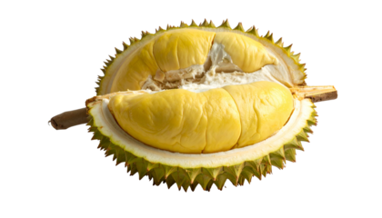 A durian fruit, halved to reveal creamy yellow flesh, with spiky green rind, isolated