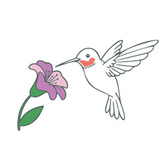 Obraz premium Illustration of a hummingbird with red throat feeding on a purple flower with green stem and leaves
