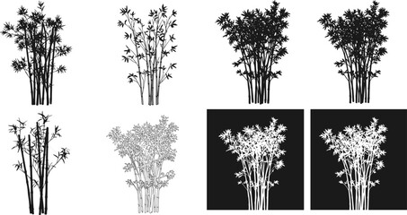 Fototapeta premium Bamboo plant silhouette collection, black and white bamboo vector, tropical nature design elements, Asian plant illustration, minimalist botanical art set