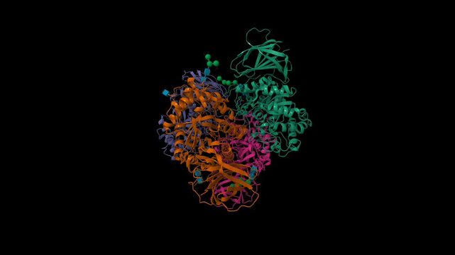 Crystal structure of glucocerebrosidase. Animated 3D cartoon and molecular surface models, chain id color scheme, pdb 5lvx, black background	