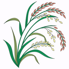 Stylized illustration of green rice stalks with ripening grains in shades of yellow and pink on a white background