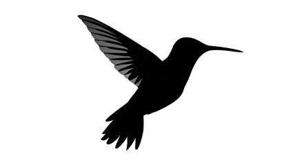 Fototapeta premium Silhouette icon of hummingbird with spread wings showing elegant flying posture and minimal artistic shape isolated on white background