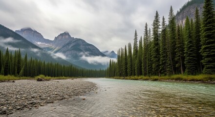 A scenic view of a river flowing through a forest with mountains