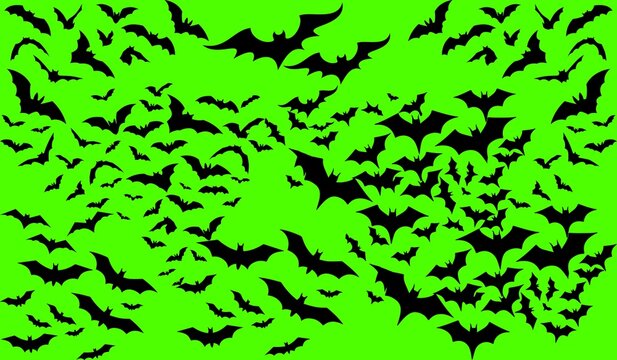 Spooky season vibes with this dynamic bat swarm on vibrant green, perfect for Halloween backgrounds, party invites, and edgy designs