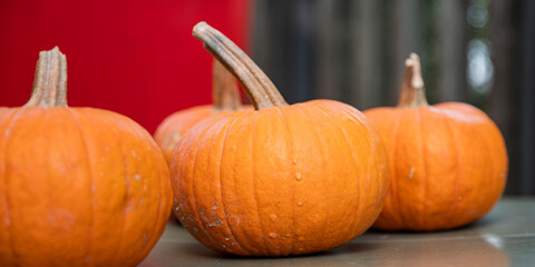 A bounty of vibrant orange pumpkins on a straw mat at a farmers' market. Halloween card with space for inscription