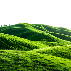 Rolling green hills bathed in sunlight, creating a lush, vibrant landscape