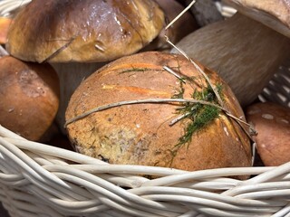 basket of mushrooms