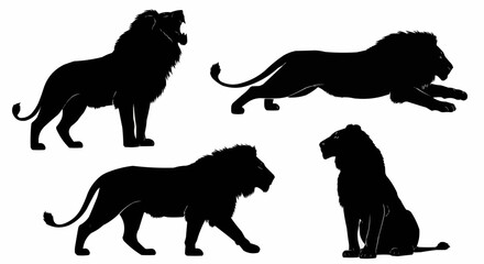Lion Silhouette Set on White