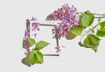 Lilac flowers and green leaves surrounding a white geometric frame on a light background.