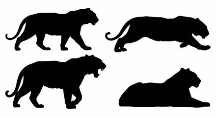 Tiger Silhouette Set on White