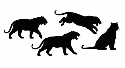 Tiger Silhouette Set on White